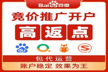 百度SEO推广案例：实战解析与效果展示